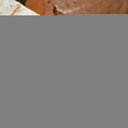 Quam Silver Black limited With original Box image 3