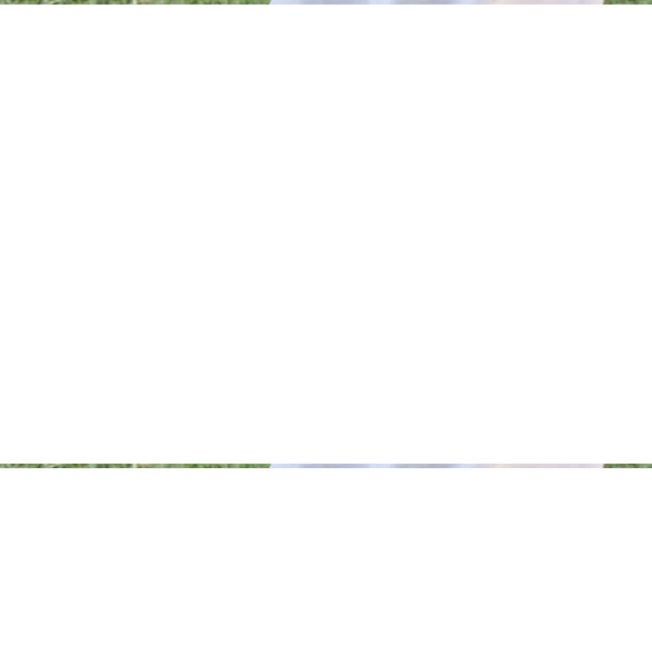 Peshawari Kherri Chappal (PKC40) image 0