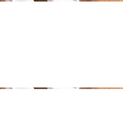 Peshawari Kherri Chappal (PKC35) image 0