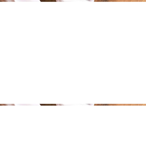 Peshawari Kherri Chappal (PKC35) image 1